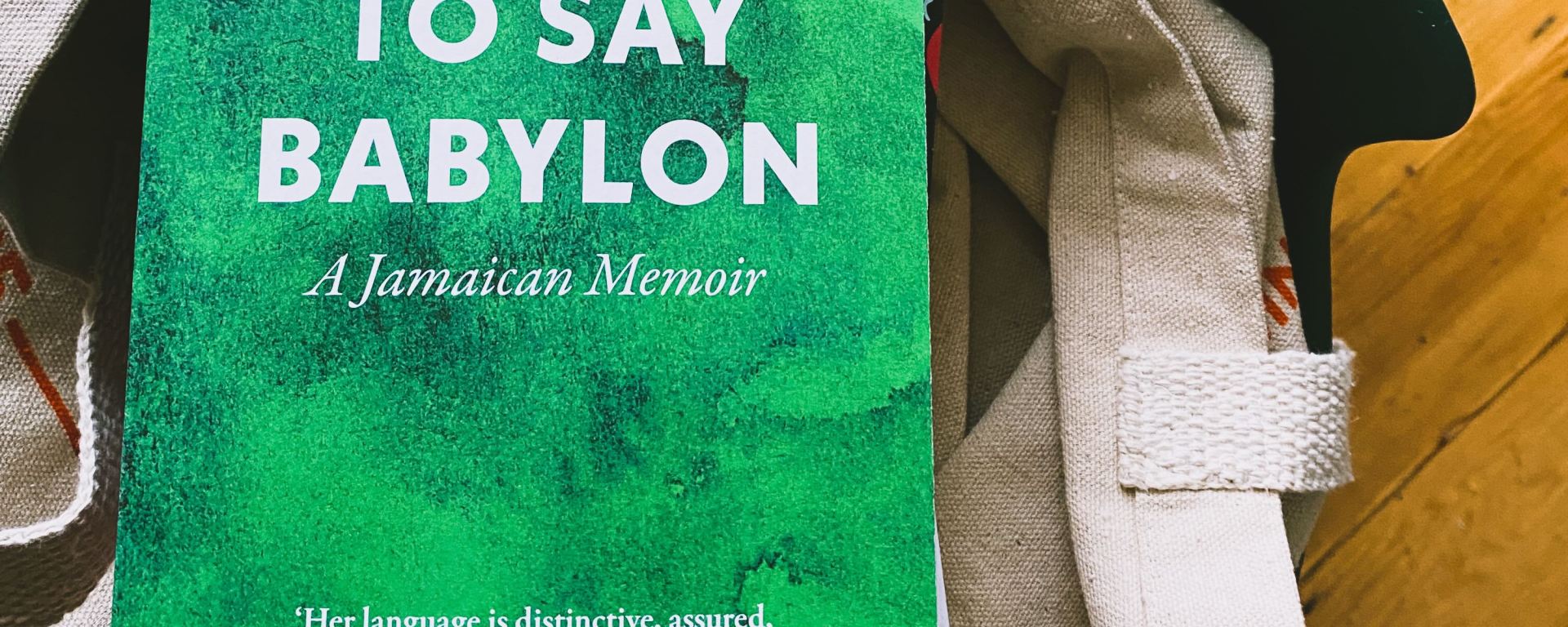How To Say Babylon book