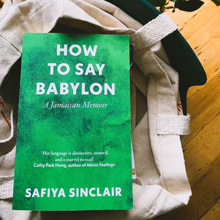 How To Say Babylon book