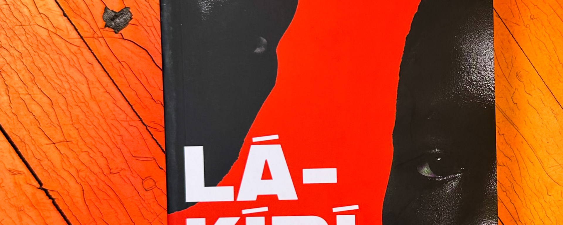 Lakiriboto Ayodele Olofintuade Queer Nigerian books book review